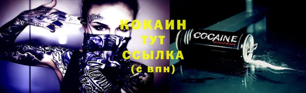 хмурый Рославль