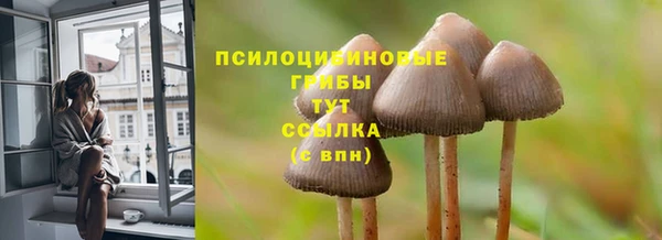 прущие крисы Баксан