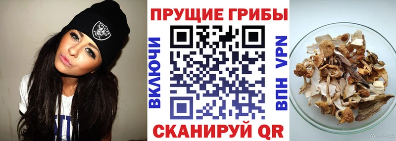 kraken ONION  Ликино-Дулёво  Галлюциногенные грибы мицелий  наркотики 